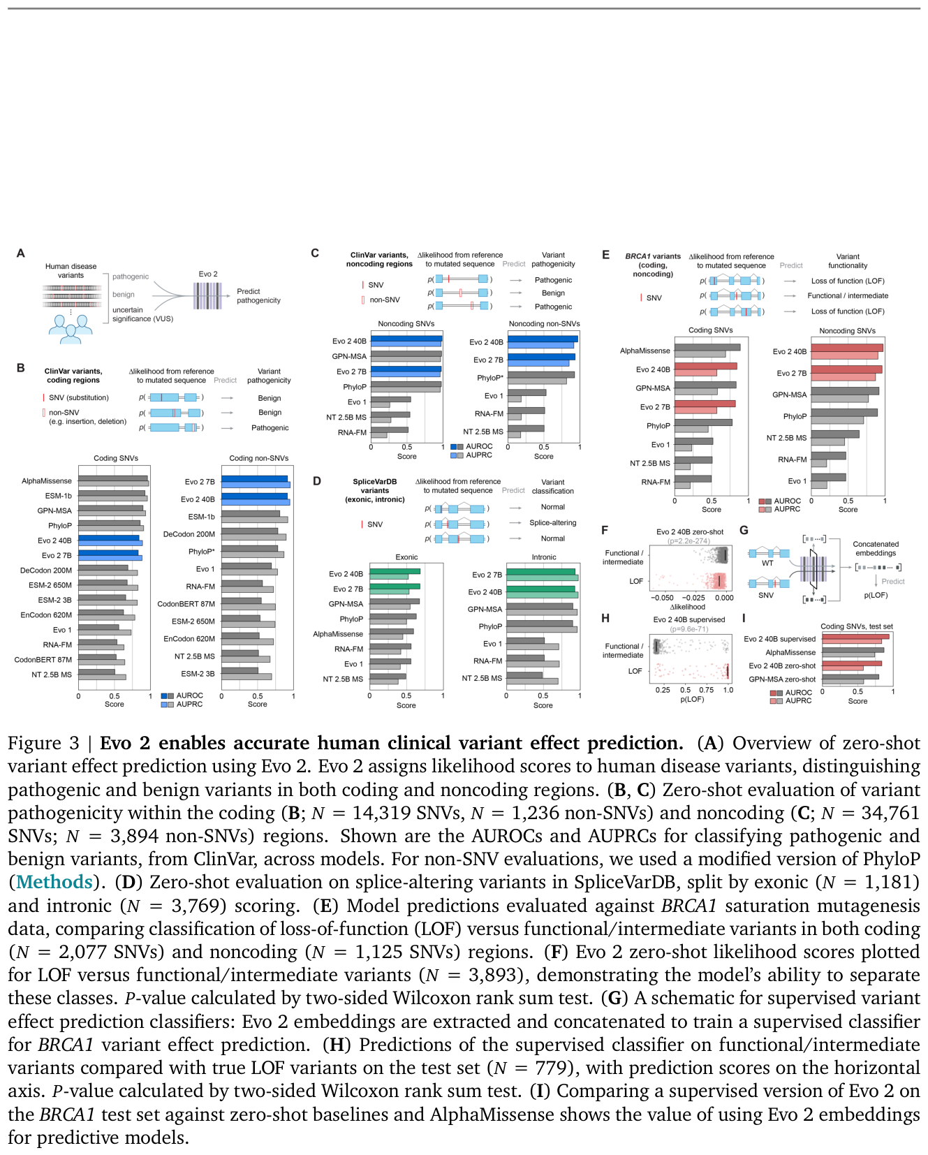 Figure 12: Evo 2 zero-shot clinical variant-effect prediction across ClinVar coding and noncoding variants, splicing, loss-of-function classification, and the BRCA1 benchmark.