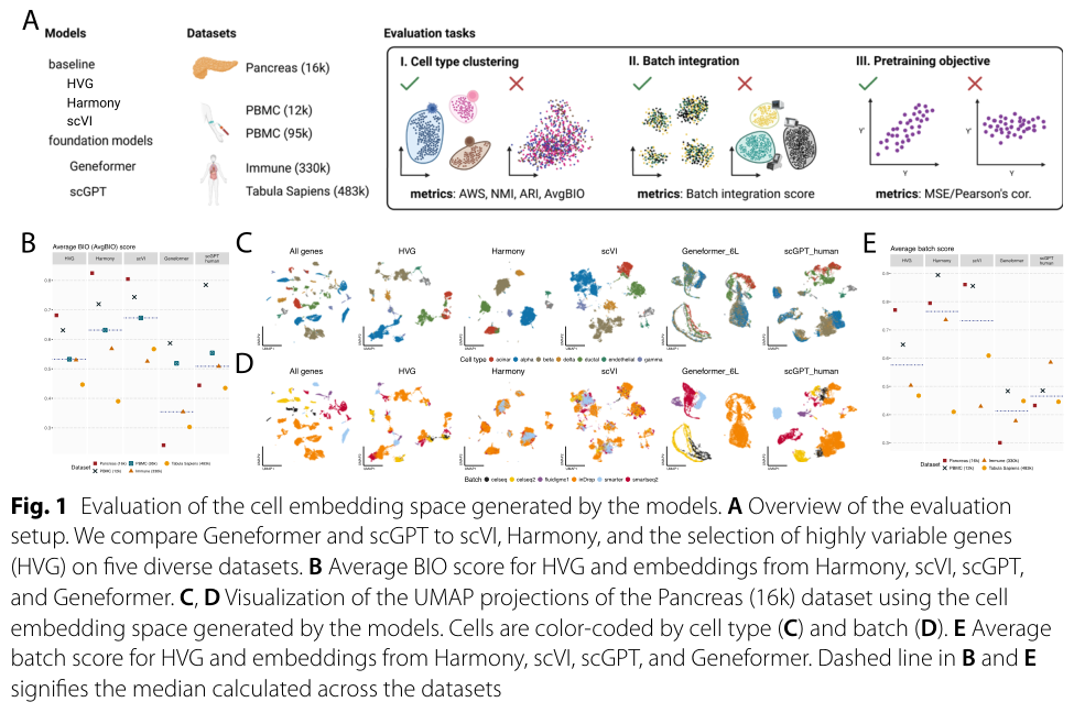 Figure 17: Geneformer and scGPT cell embeddings evaluated against simple HVG + PCA baselines for clustering and integration in the zero-shot setting.