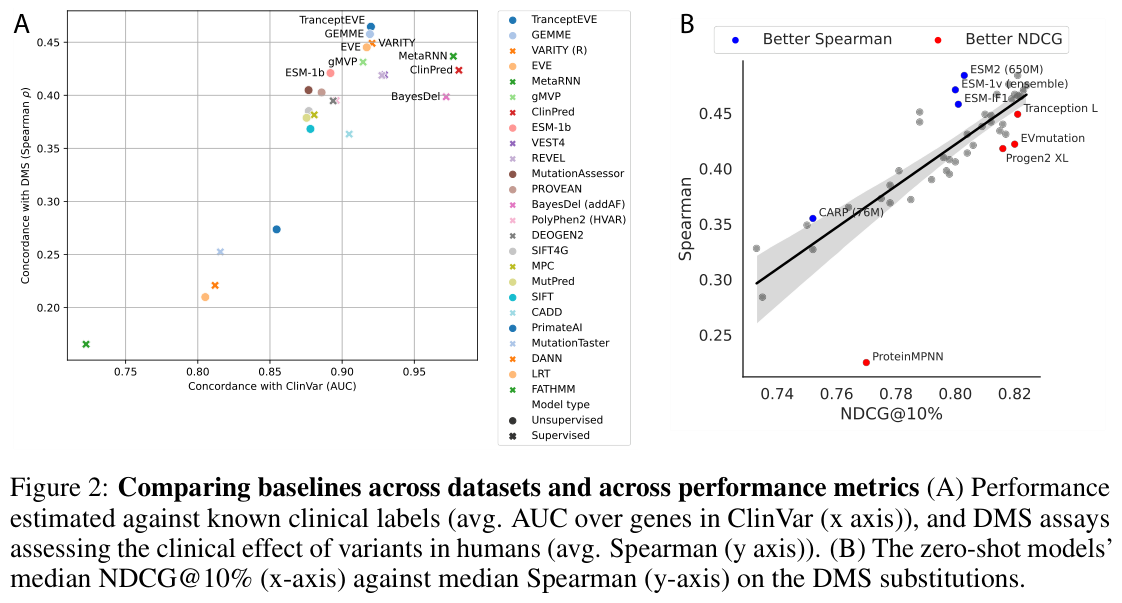 Figure 11: ProteinGym's clinical concordance (ClinVar AUC) versus DMS correlation across protein variant-effect predictors, and zero-shot rankings on DMS substitutions.