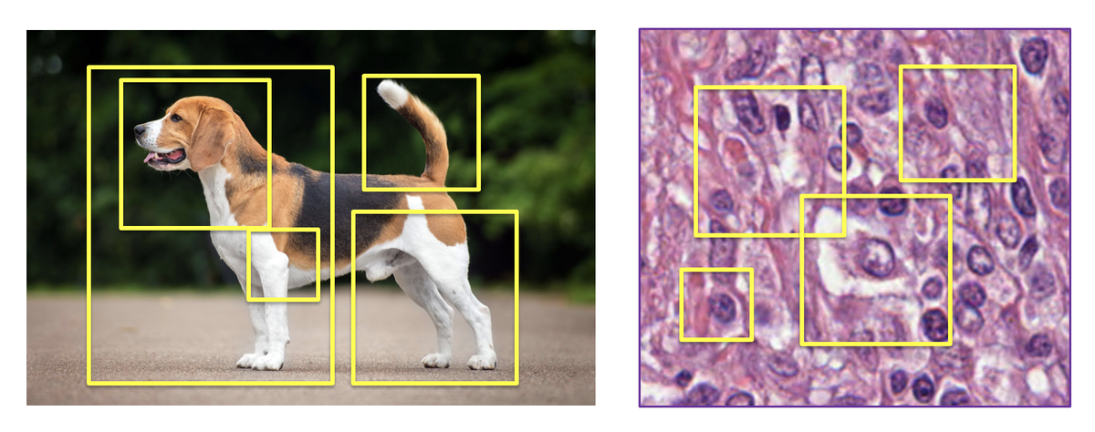 Figure 4: MIL Patch Detection Approach